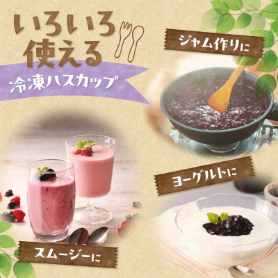 【2025年発送先行受付!】とかちしみずフルーツガーデンの冷凍ハスカップ900g