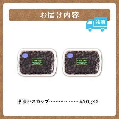 【2026年発送先行受付!】とかちしみずフルーツガーデンの冷凍ハスカップ900g