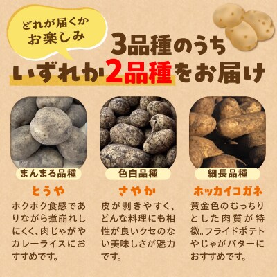 【数量限定】2品種!北海道産 訳ありじゃがいも14kg