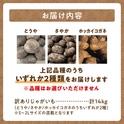 【数量限定】2品種!北海道産 訳ありじゃがいも14kg