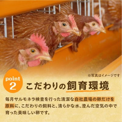 【12回定期便】大平原ファームの新鮮でおいしい卵 計40個(赤卵)×12ヶ月