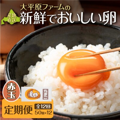 【12回定期便】大平原ファームの新鮮でおいしい卵 計50個(赤卵)×12ヶ月