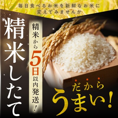 精米したての新鮮な味わい!北海道産 ななつぼし 10kg