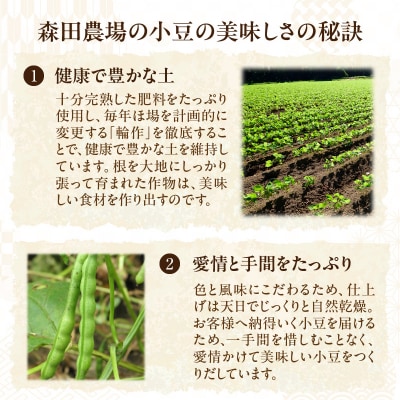 素材が美味しいからあんこも美味しい!MORITABEANS 森田あんこ 1kg