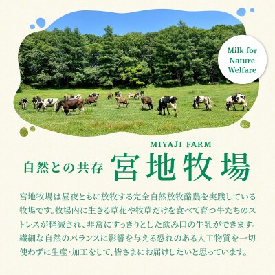 宮地牧場のグラスドロップミルク牛 ハンバーグ 4個セット