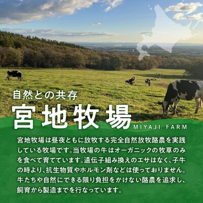 宮地牧場のオーガニックグラスフェッド牛 ひき肉 600g