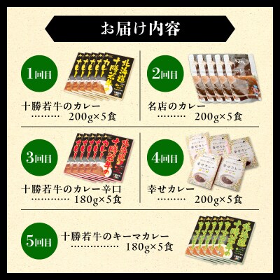 【5回定期便】清水町自慢のカレー食べ比べ定期便