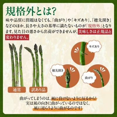 【2026年発送先行予約!】訳ありアスパラガス 1kg! 