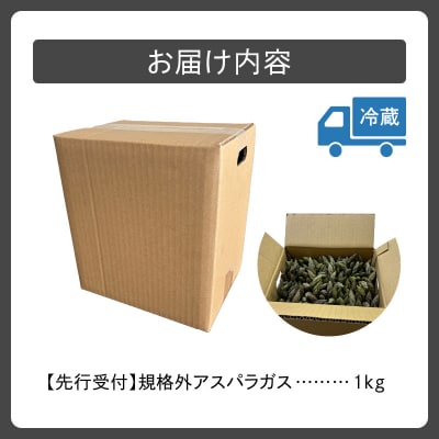 【2026年発送先行予約!】訳ありアスパラガス 1kg! 