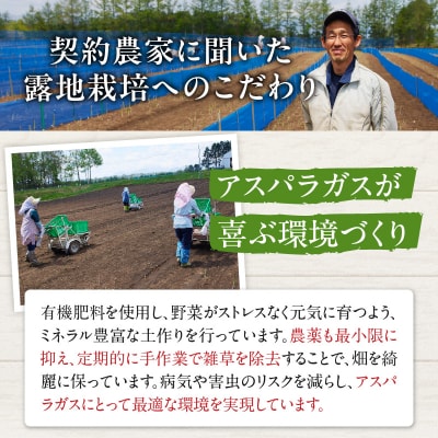【2026年発送先行予約!】アスパラガス M・L混合 1kg! 