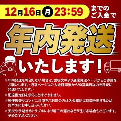 【12月16日までのご入金で年内発送!】人気の牛とろフレーク 500g
