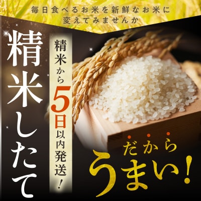 【3回隔月定期便】精米したての新鮮な味わい!北海道産 ななつぼし 5kg
