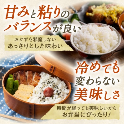 【3回隔月定期便】精米したての新鮮な味わい!北海道産 ななつぼし 10kg