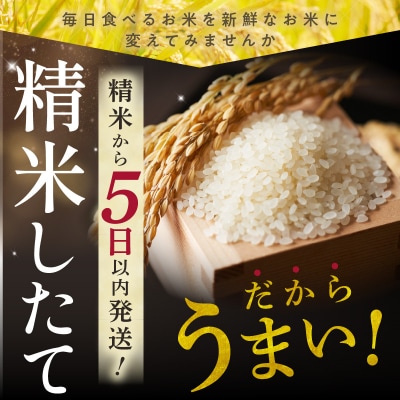 【3回定期便】精米したての新鮮な味わい!北海道産 ゆめぴりか 5kg