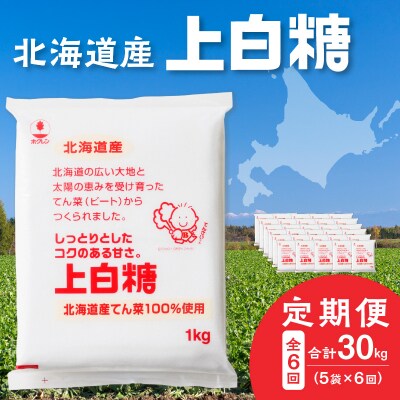 【隔月6回定期便】ホクレンの上白糖1kg×5袋