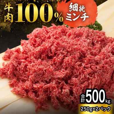 訳あり牛肉100%ミンチ!北海道産牛ひき肉500g! (250g×2パック)