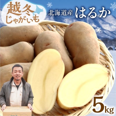 先行予約!ホクホク あま～い!低温貯蔵!北海道産 越冬じゃがいも はるか 約5kg