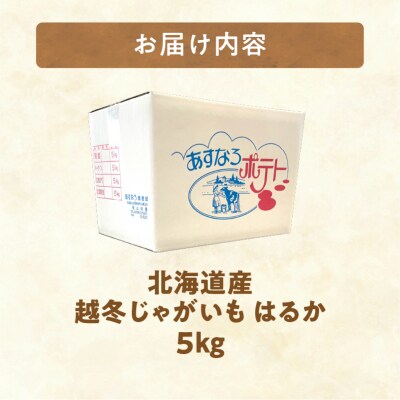 先行予約!ホクホク あま～い!低温貯蔵!北海道産 越冬じゃがいも はるか 約5kg