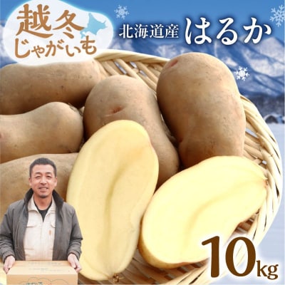 今が旬!ホクホク あま～い!低温貯蔵!北海道産 越冬じゃがいも はるか 約10kg