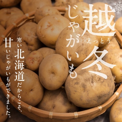 今が旬!ホクホク あま～い!低温貯蔵!北海道産 越冬じゃがいも はるか 約10kg