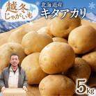 先行予約!ホクホク あま～い!低温貯蔵!北海道産 越冬じゃがいも キタアカリ 約5kg