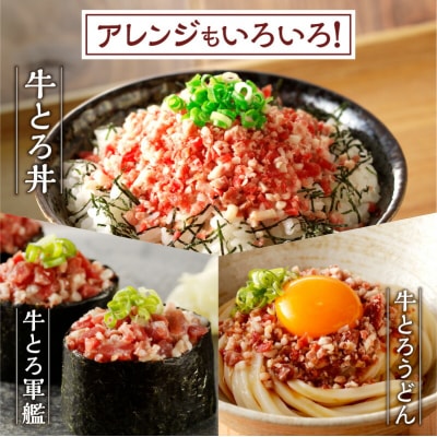 十勝スロウフード人気No.1!牛とろフレーク×北海道産牛粗挽き肉セット!_S006-0181