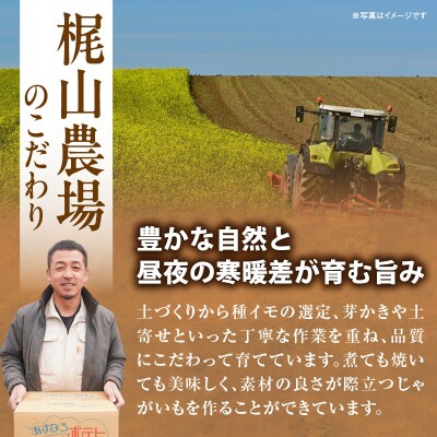 10月より発送開始!ホクホク食感が魅力の「男爵いも」10kg