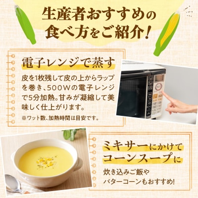 【2026年8月～発送開始!】黄金の甘さ ゴールドラッシュ!サイズ混合 10～12本