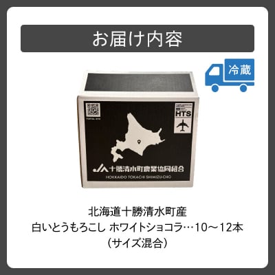 【2026年8月～発送開始!】白いとうもろこし ホワイトショコラ サイズ混合 10～12本
