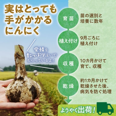 【北海道産】十勝育ちの十勝清水にんにく バラ4kg
