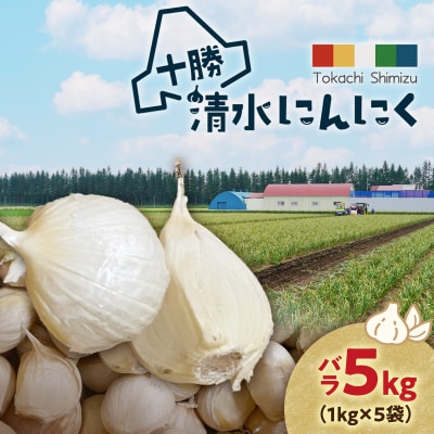 【北海道産】十勝育ちの十勝清水にんにく バラ5kg