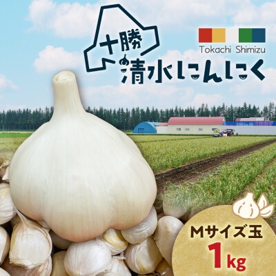 【北海道産】十勝育ちの十勝清水にんにく Mサイズ(玉) 1kg