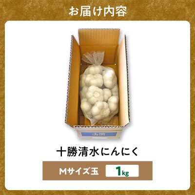 【北海道産】十勝育ちの十勝清水にんにく Mサイズ(玉) 1kg