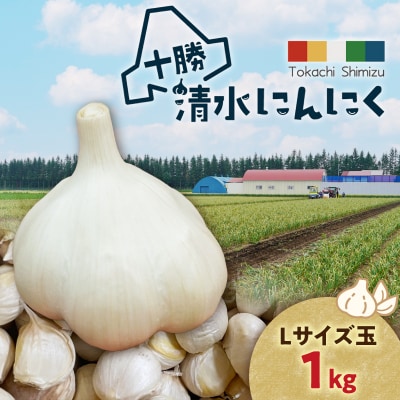 【北海道産】十勝育ちの十勝清水にんにく Lサイズ(玉) 1kg