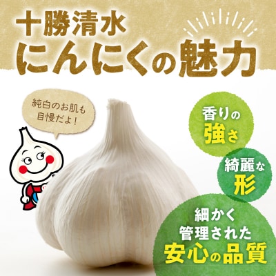 【北海道産】十勝育ちの十勝清水にんにく Lサイズ(玉) 1kg