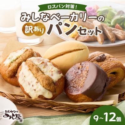 【訳あり】みしなベーカリーの訳ありパンセット　9～12個