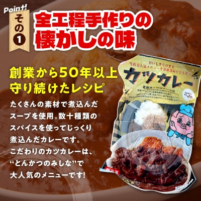 とんかつのみしな　冷凍カツカレー_S011-0011