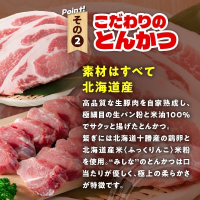 とんかつのみしな　冷凍カツカレー_S011-0011