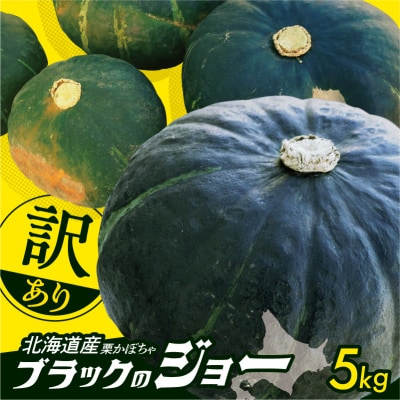 先行受付12月頃～発送開始!北海道十勝清水町産【訳あり】ホクホク!栗かぼちゃ_ S021-0031