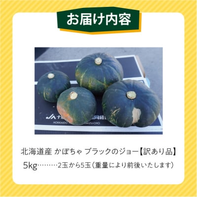 先行受付12月頃～発送開始!北海道十勝清水町産【訳あり】ホクホク!栗かぼちゃ_ S021-0031