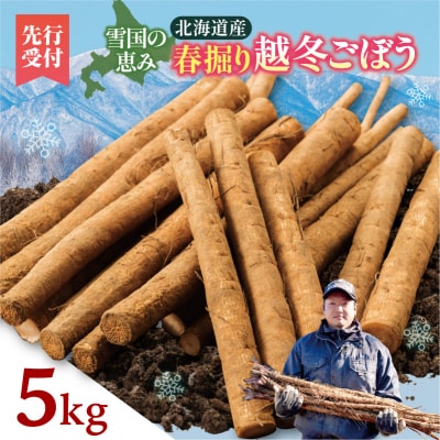 先行受付!2026年4月頃～発送開始!北海道十勝清水町産 越冬ごぼう! 5kg
