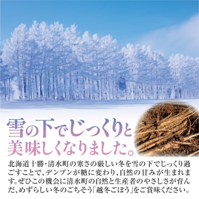 先行受付!2026年4月頃～発送開始!北海道十勝清水町産 越冬ごぼう! 5kg