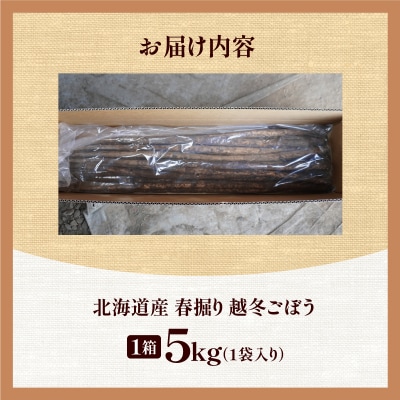 先行受付!2026年4月頃～発送開始!北海道十勝清水町産 越冬ごぼう! 5kg