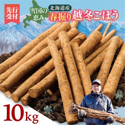 先行受付!2026年4月頃～発送開始!北海道十勝清水町産 越冬ごぼう! 10kg