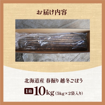 先行受付!2026年4月頃～発送開始!北海道十勝清水町産 越冬ごぼう! 10kg