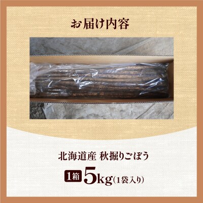 先行受付!2026年10月頃～発送開始!北海道十勝清水町産 ごぼう! 5kg