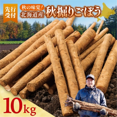 先行受付!2026年10月頃～発送開始!北海道十勝清水町産 ごぼう! 10kg
