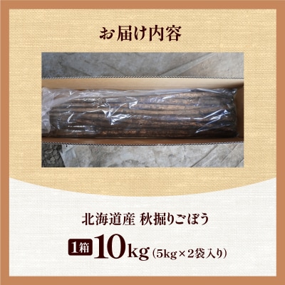 先行受付!2026年10月頃～発送開始!北海道十勝清水町産 ごぼう! 10kg