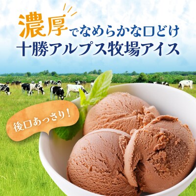 十勝アルプス牧場 濃厚ショコラアイス6個セット
