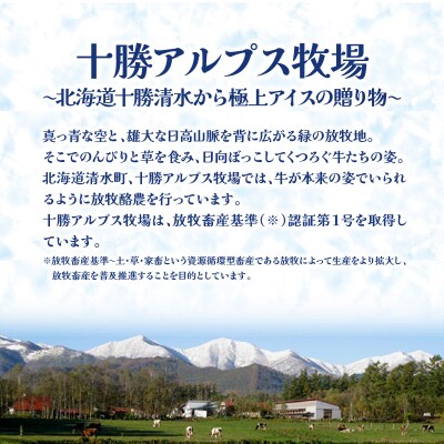 十勝アルプス牧場 濃厚ショコラアイス6個セット